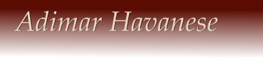 Adimar Havanese