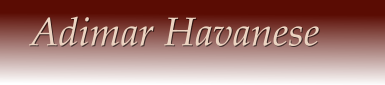 Adimar Havanese