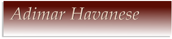 Adimar Havanese